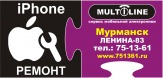 Ремонт Apple iPhone 3G / 3Gs / 4 / 4S / 5 / 5S в Мурманске (т.: 75-13-61)